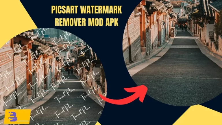 Object Remover PicsArt Watermark Remover APK – 10 Important Types